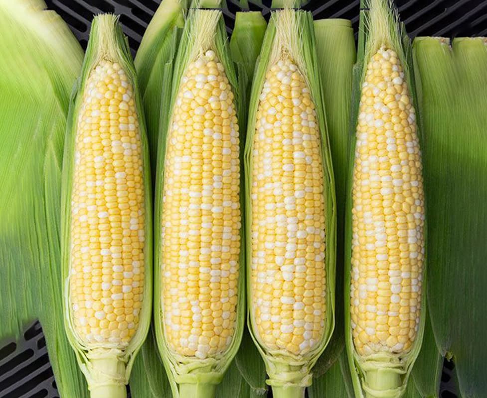 agriculture